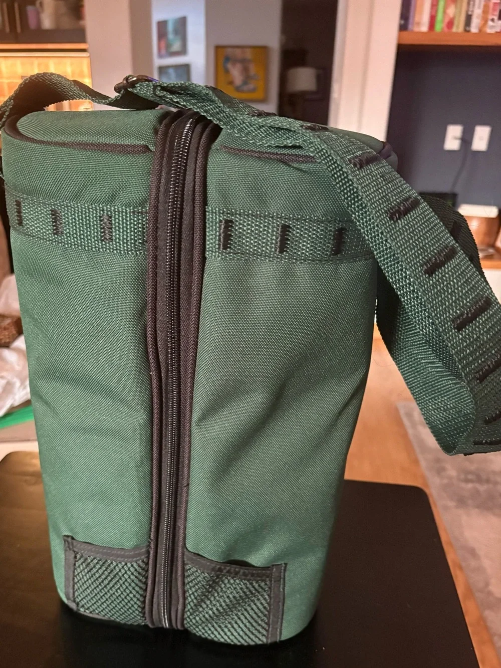 Picnic Time Green Insulated Wine  Cooler Bag with Accessories